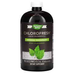 Nature's Way Chlorofresh Liquid, 473 мл - м'ята