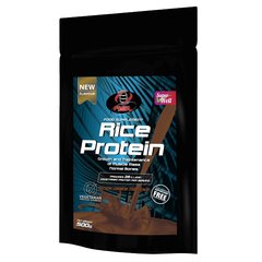 AllSports Labs Rice Protein, 500 грам - шоколад