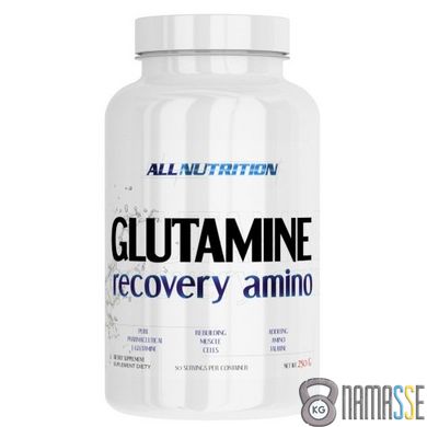 AllNutrition Glutamine Recovery Amino, 250 грам Апельсин