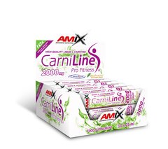 Amix Nutrition CarniLine 2000 mg, 10*25 мл Ананас
