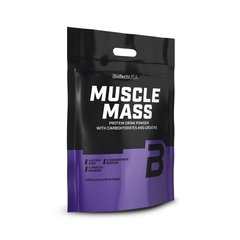 BioTech Muscle Mass, 4 кг Ваніль