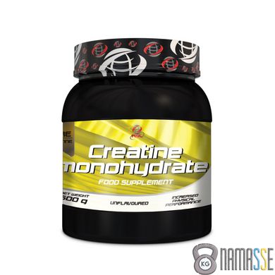 AllSports Labs Creatine Monohydrate, 500 грам