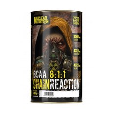 Nuclear Nutrition Chain Reaction BCAA 8:1:1, 400 грам Фруктовий