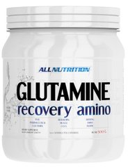 AllNutrition Glutamine Recovery Amino, 500 грам Апельсин