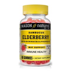 Mason Natural Elderberry With Echinacea & Propolis, 60 жувальних таблеток