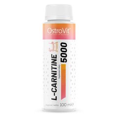 OstroVit L-Carnitine 5000 Shot, 100 мл Мультифрукт